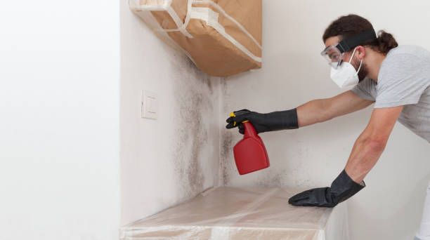 Professional Mold Inspection And Testing technician working in Fountainville, PA