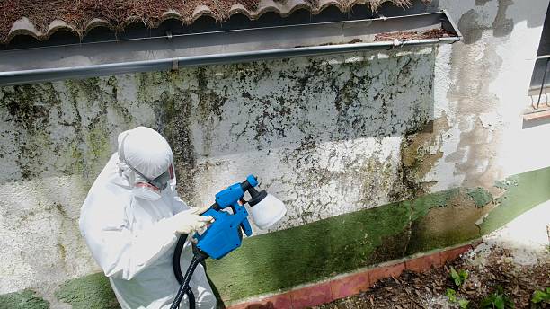 Top rated local Mold Inspection And Testing specialists in Fountainville, PA